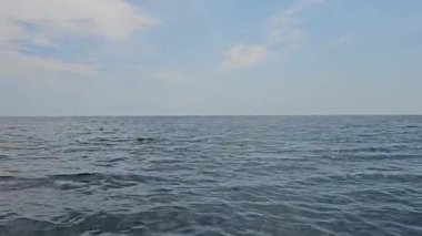 Balıkçı teknesinden alınan deniz manzarası. Arka planda yunuslar zıplıyor. Mavi gökyüzü. Yüksek kalite 4k görüntü