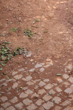 Yağmurdan sonra kırmızı toprak birikintileri ve çizgilerle kaplı dokulu asfalt manzarası. Canlı kırmızımsı-kahverengi çamur, açık renkli asfaltlara karşı organik bir şablon oluşturuyor, yanında da yeşil filizler var. Arkaplan ve dokular için ideal