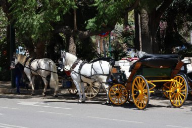 Malaga İspanya 6 Nisan 2025 Kiralık at arabası fotoğrafı. Güneşli bir günde gezmek. Malaga Yüksek Kaliteli Fotoğrafta Turist Çekimi