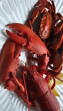 Pişmiş kırmızı ıstakoz ve kadife yengeçlerin desenli beyaz tabakta, arka planda detaylı bir tepe üstü görüntüsü. Fotoğraf, hazır deniz ürünlerinin karmaşık dokusunu, canlı rengini gösteren tüm vücuda odaklanıyor.