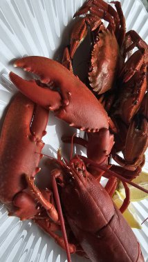 Pişmiş kırmızı ıstakoz ve kadife yengeçlerin desenli beyaz tabakta, arka planda detaylı bir tepe üstü görüntüsü. Fotoğraf, hazır deniz ürünlerinin karmaşık dokusunu, canlı rengini gösteren tüm vücuda odaklanıyor.