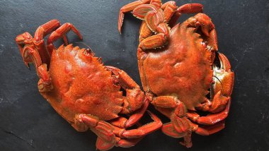  Koyu, kırsal bir yüzeyde pişmiş iki kadife yengecin yukarıdan aşağı görüntüsü..