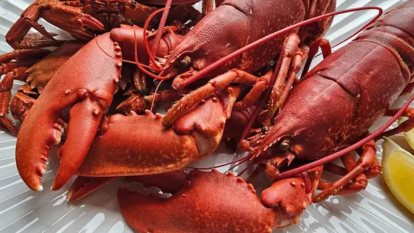 Pişmiş kırmızı ıstakoz ve kadife yengeçlerin desenli beyaz tabakta, arka planda detaylı bir tepe üstü görüntüsü. Fotoğraf, hazır deniz ürünlerinin karmaşık dokusunu, canlı rengini gösteren tüm vücuda odaklanıyor.