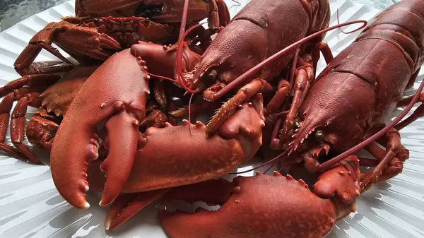 Pişmiş kırmızı ıstakoz ve kadife yengeçlerin desenli beyaz tabakta, arka planda detaylı bir tepe üstü görüntüsü. Fotoğraf, hazır deniz ürünlerinin karmaşık dokusunu, canlı rengini gösteren tüm vücuda odaklanıyor.