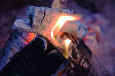 Yakın plan, kömürleşmiş ahşap kütüklerin, parlak sarı alevlerin ve közlerden yayılan pembe ve mor ışığın eşsiz bir fotoğrafı. Görüntü, farklı bir renk paletiyle rüya gibi ve karamsar bir atmosfer yakalıyor.