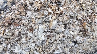 Yanmış ahşap parçacıkları ile gri ve beyaz küllerin detaylı dokusu. Yangın veya barbekü kalıntılarını gösteren soyut bir arka plan. Ekoloji, çevre, yıkım veya yenilenme kavramı.