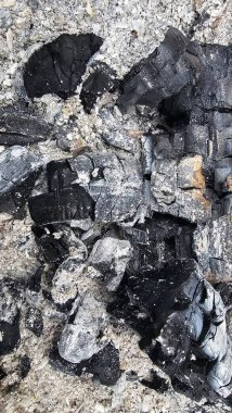 Gri küllerin ve siyah kömürün detaylı dokusu, barbekü veya yangından sonra yanmış ahşap kalıntıları. Soyut desenli doğal bir arka plan. Ekoloji, yıkım, felaket, yanma veya yeniden doğuş kavramı Gri küller ve siyah kömür parçalarını yakın plan