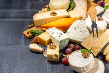 Farklı çeşit peynir seti. Çeşitli peynirli peynir tabağı, üzümlü, fındıklı, peynirli bıçak ve baharatlı, siyah kartonlu arka plan fotokopi alanı