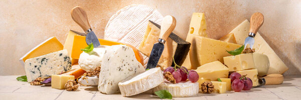 Different sorts of cheese set. Cheese platter with various cheese, with grapes, nuts, cheese knife and spices, light tiled background copy space