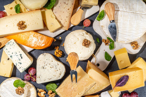 Different sorts of cheese set. Cheese platter with various cheese, with grapes, nuts, cheese knife and spices, black tiled background copy space