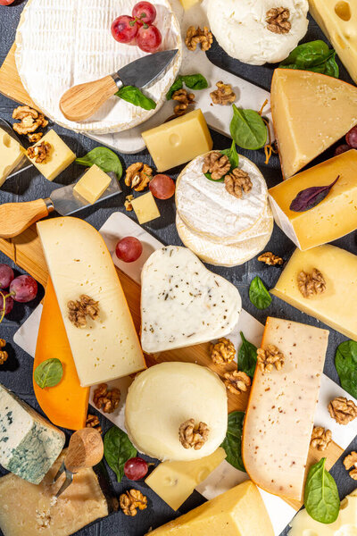 Different sorts of cheese set. Cheese platter with various cheese, with grapes, nuts, cheese knife and spices, black tiled background copy space