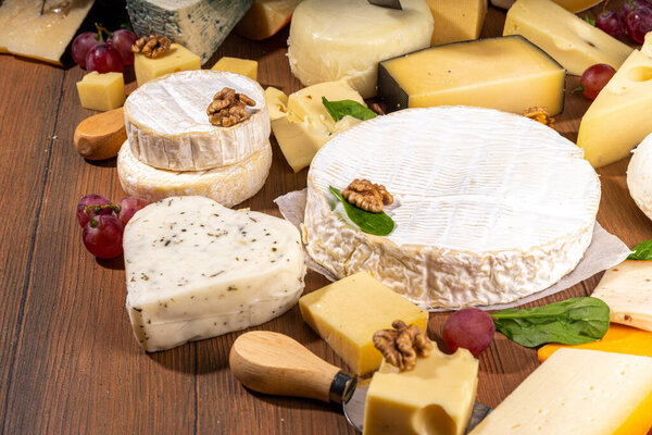 Different sorts of cheese set. Cheese platter with various cheese, with grapes, nuts, cheese knife and spices, wooden background copy space