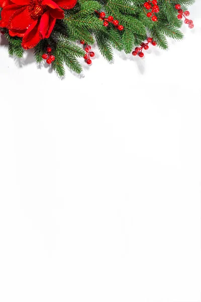 White Simple Christmas New Year Holidays Background Christmas Tree Branches — Stock Photo, Image