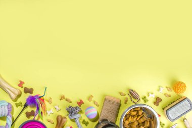 Evcil hayvan mamaları, aksesuarlar, kedi, köpek, evcil hayvan mamaları, oyuncaklar, ikramlar, çatal bıçaklar. Hayvanat bahçesi ve hayvan mağazası, çevrimiçi alışveriş, hayvan bakımı konsepti, yassı pankart üst görünüm