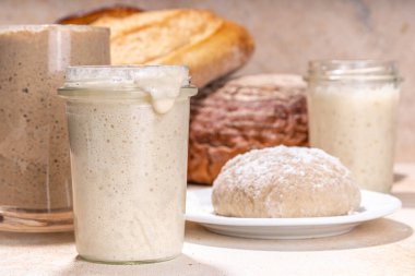 Sağlıklı yaşam tarzı, glütensiz mayalama diyeti. Ev yapımı ekşi ekmek. Aktif köpüklü çavdar, buğday, yulaf ekmeği farklı un ve fermantasyon yöntemleriyle, cam kavanozlarda, ham hamur ve fırınlanmış ekmekle.