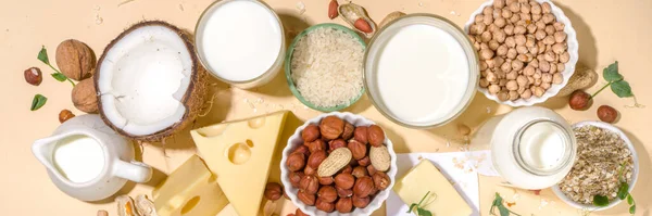 Vegan non-dairy products. Plant-based alternative dairy products  milk, cream, butter, yoghurt, cheese, with ingredients - chickpeas, oatmeal, rice, coconut, nuts