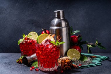 Spicy autumn pomegranate cocktail. Alcohol warming gin drink with pomegranate, lime, cinnamon, mint, autumn winter sangria on dark background copy space