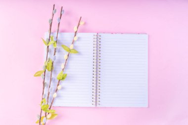 Spring Easter holiday top view background with eggs and willow flowers. Simple Happy Easter  greeting card background with copy space