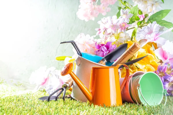 Spring gardening concept. Springtime garden flowers and plants, with garden utensils and tools on sunny green grass background, copy space