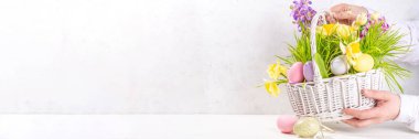 Easter greeting card background, banner format. Festive white basket with green grass, spring flowers bouquet, colorful Easter eggs, woman hands in picture take basket side view