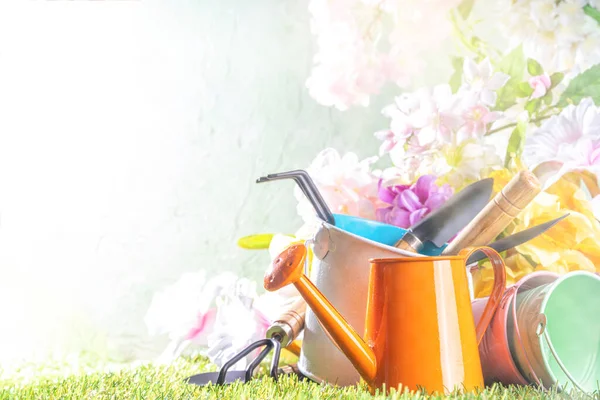 Spring gardening concept. Springtime garden flowers and plants, with garden utensils and tools on sunny green grass background, copy space