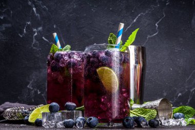 Yaban mersinli narenciye yaz soğutma içeceği, yabanmersinli buzlu mojito limonata kokteyli, nane ve limon.