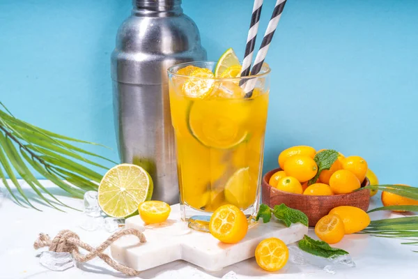Kumquat Lemonade Drink Non Alcohol Citrus Cocktail Kumquat Fruit Slices — Stock fotografie