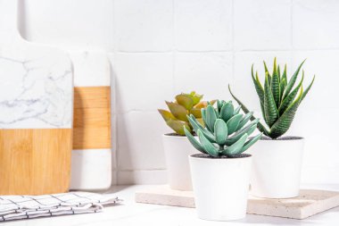 Home gardening, plants on kitchen corner. White pots with various succulents on kitchen table with utensils, cutting boards, white tilled marble background copy space