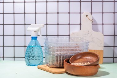 Tohumlar, mikro yeşillikler, yeşillik arka planı. Ev yapımı mutfak masasında tohum ve bez içeren ev tepsisi kapları.