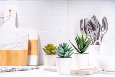 Home gardening, plants on kitchen corner. White pots with various succulents on kitchen table with utensils, cutting boards, white tilled marble background copy space
