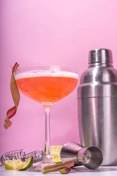 Rhubarb Summer Cold Plum Daiquiri Martini Cocktail Drine Pink Rhubarb — 스톡 사진