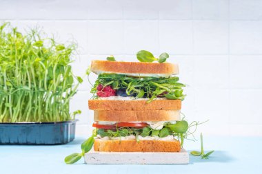 Vegetable and fruit microgreen sandwiches. Homemade toasts sandwiches with tomato, cucumber, berry fruits and a lot of microgreen baby leaves sprouts, white table background copy space