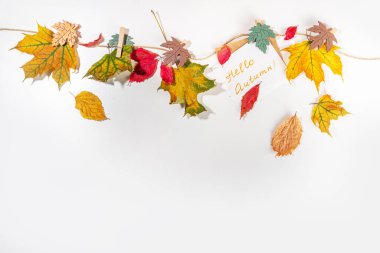Yaratıcı sonbahar çerçeve güz yapraklı sınır kompozisyonu. Kırmızı ve sarı sonbahar yaprakları çamaşır ipine asılı, beyaz arkaplan kopyalama alanı metin için