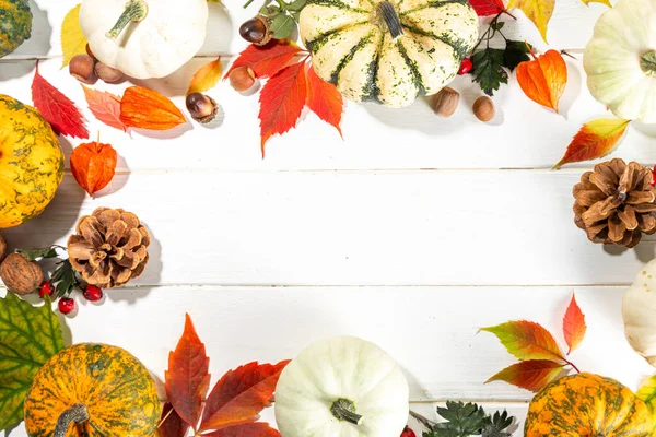 Kürbisse Mit Herbstlichem Herbst Rot Gelb Orange Blätter Nüsse Eicheln — Stockfoto