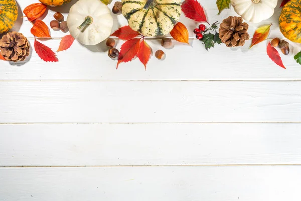 Тыквы Осенью Осенью Красные Желтые Оранжевые Листья Орехи Желуди Осенние — стоковое фото