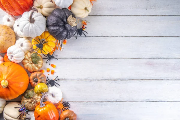 Thanksgiving Halloween Herbst Herbstsaison Urlaub Hintergrund Mit Bunten Kürbissen Stapel — Stockfoto