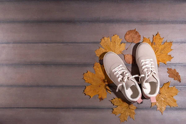Autumn sport fitness background. Outdoors fall workouts concept. Running sneakers, dumbbell barbell discs, jump rope, water bottle, wooden background, with autumn leaves, pumpkins top view copy space