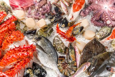 Çeşitli taze çiğ deniz ürünleri seti - ahtapot, yengeç, mürekkep balığı, karides, istiridye, midye, somon balığı limon baharatlı ton balığı, ezilmiş buzlu arka plan üst görünüm 