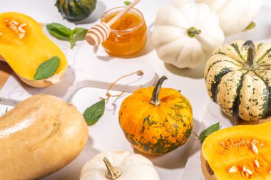 Bal kabakları değişik boyutlarda, çeşitli boyut ve renklerde kabaklar, bitki ve baharatlar, zeytin yağı, bal, beyaz mutfak masası arka planında üst görünümde fotokopi alanı 