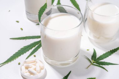 Kenevir sütü. Sütsüz süt, kenevir tohumlarından alınmış vejetaryen süt, kenevir yapraklarının beyaz arka planı, endüstriyel marihuana kullanımı. Kenevir ürünlerinin yasal kullanımı. 