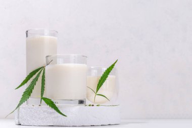 Kenevir sütü. Sütsüz süt, kenevir tohumlarından alınmış vejetaryen süt, kenevir yapraklarının beyaz arka planı, endüstriyel marihuana kullanımı. Kenevir ürünlerinin yasal kullanımı. 