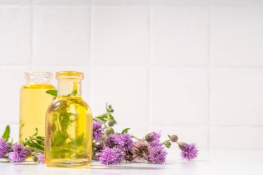 Süt devedikeni malzemeleri, toz ve yağ. Silybum marianum, doğal organik süper yiyecek ürünü - tam ve tahıl tohumları, haplar, taze devedikeni çiçekli yağ