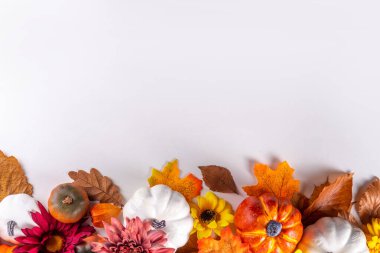 Sonbahar tatili ve satış geçmişi. Şükran Günü tebrik kartı. Çok renkli balkabakları, sonbahar yaprakları ve çiçekleri, meşe palamudu konileri, beyaz arka planda dekor üst arkaplan görünümü kopyalama alanı