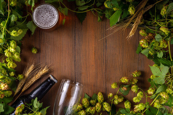 Beer bottle and glass with hop cones, Fresh craft beer and ingredients, copy space on wooden background