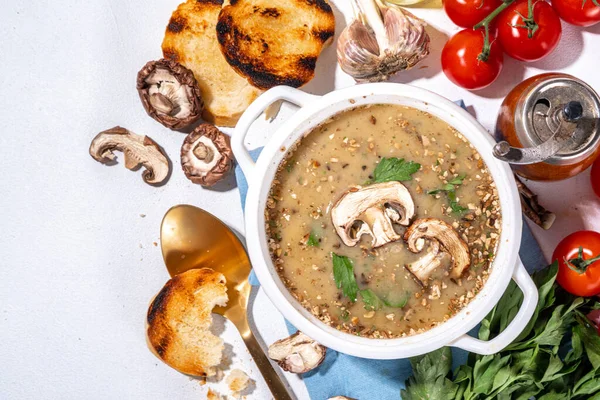 Homemade Mushroom Cream Soup Grilled Champignons Cheese Greens Croutons White — Stock Photo, Image
