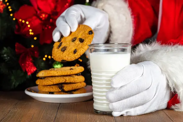 Santa Claus eating cookie and milk. Santa hands picking cookie and milk glass on wooden table against festive Christmas tree,
