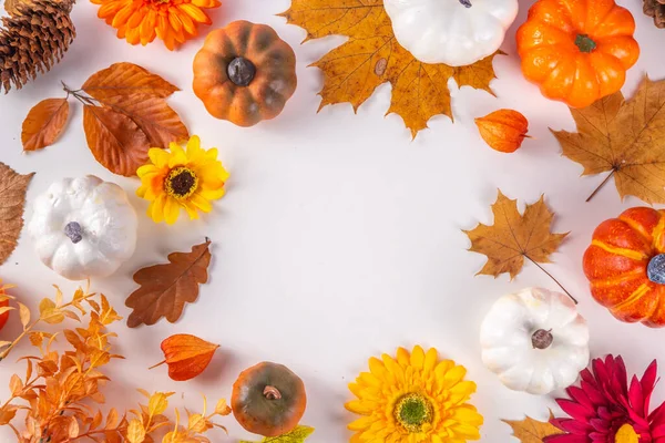 Hintergrund Sind Die Herbstferien Glückwunschkarte Zum Erntedankfest Mehrfarbige Kürbisse Herbstblätter — Stockfoto