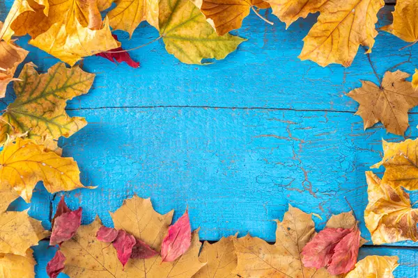 Autumn is coming, fall season loading background. Yellow, orange, red falling dry autumn leaves composition on bright turquoise blue wooden table, top view border background copy space