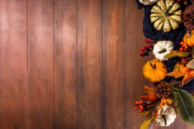 Şenlikli sonbahar dekorasyonlu arka plan. Süslü, balkabaklı, böğürtlenli ve yapraklı eski ahşap masa. Şükran Günü, Cadılar Bayramı, Sonbahar tatili tebrik kartı fotokopi alanı
