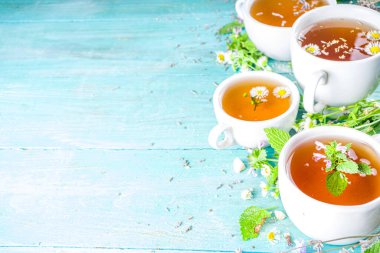 Farklı bitkisel çay seti. Çeşitli fincanlar, organik bitki çayı, papatya çayı, hindiba, nane şekeri, lavanta. Organik doğal içecek konsepti. Sağlık ve dokunulmazlık içecekleri